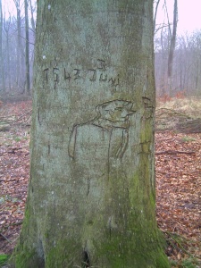 Pastitz Forst, Insel Rügen. Baumgraffiti im Sperrwaffenarsenal Tilzow.
